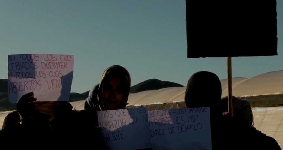 Sechs Frauen in einer Wüstenlandschaft halten Protestschilder hoch 
